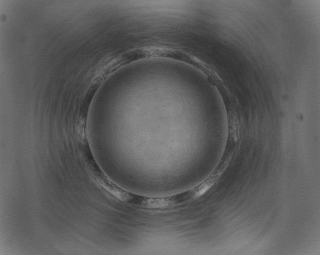 X0000074340766200608251351