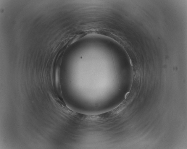 X0000074340767200608251351