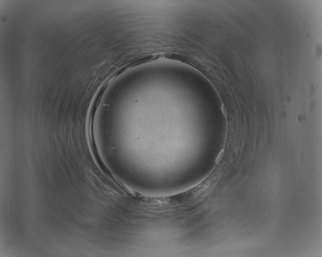 X0000074340768200608251351