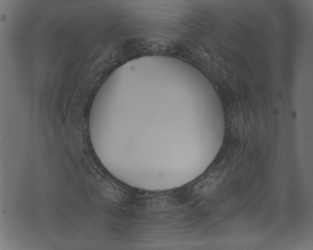 X0000074340769200608251350