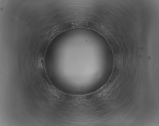 X0000074340770200608251350