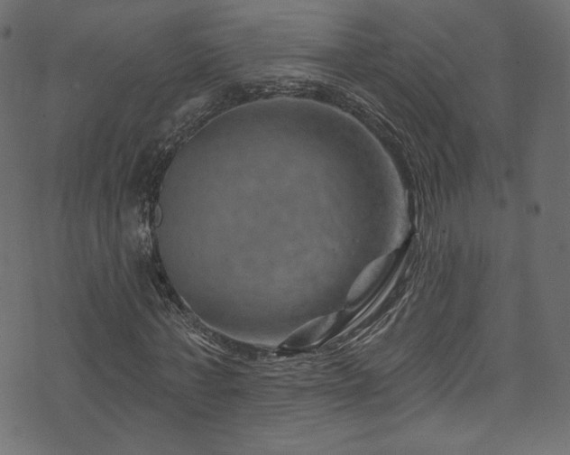 X0000074340771200608251350