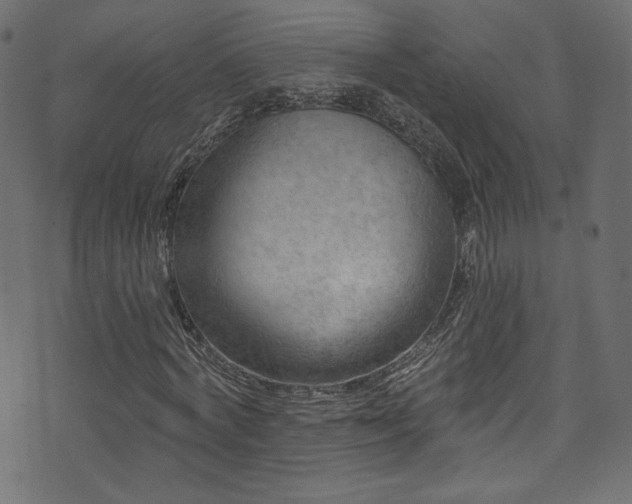 X0000074340772200608251350