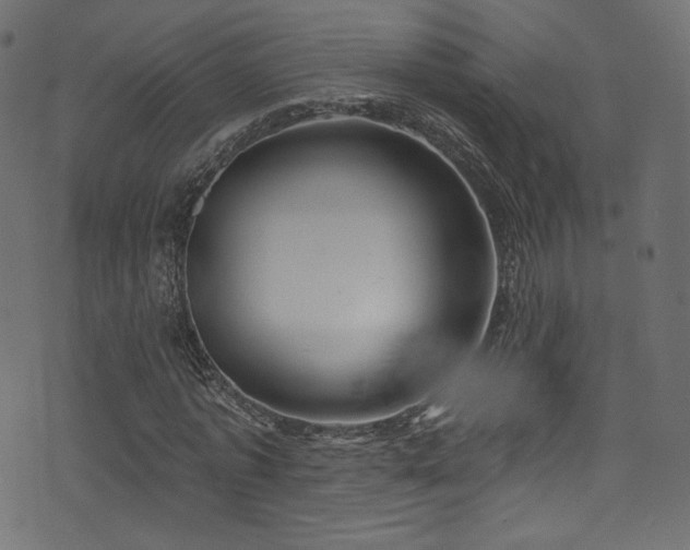 X0000074340773200608251350