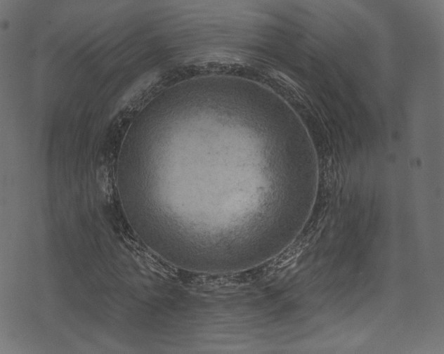 X0000074340774200608251350