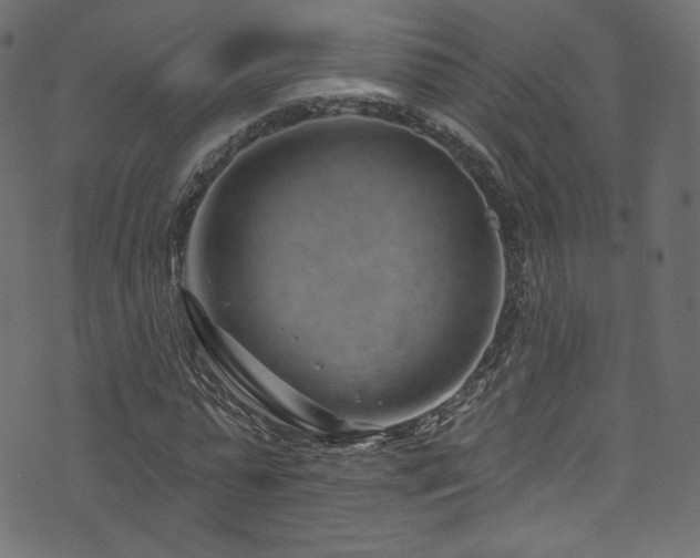 X0000074340775200608251350