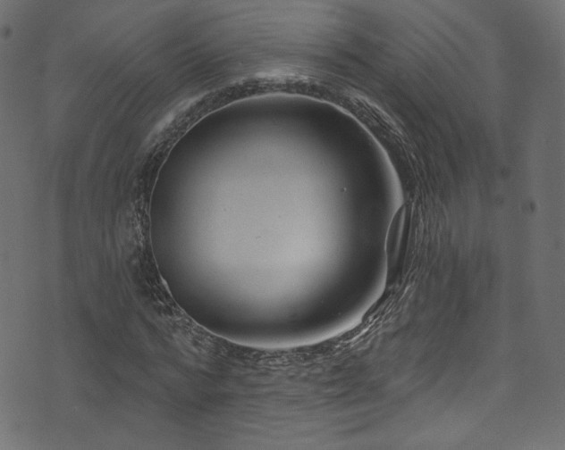 X0000074340776200608251350