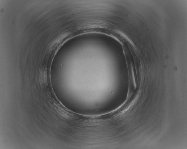 X0000074340777200608251350