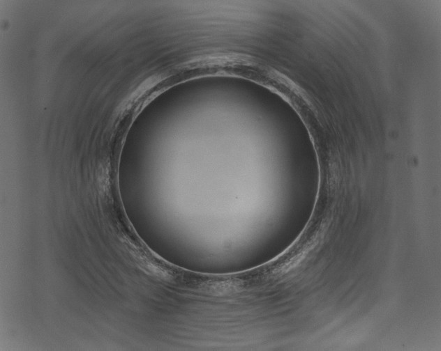 X0000074340778200608251350