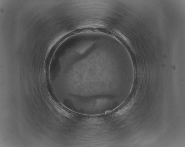 X0000074340779200608251350