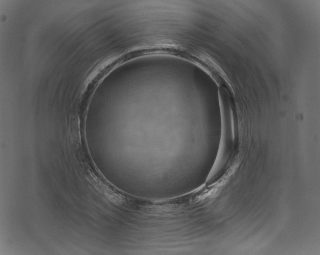 X0000074340781200608251350