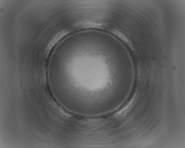 X0000074340782200608251350