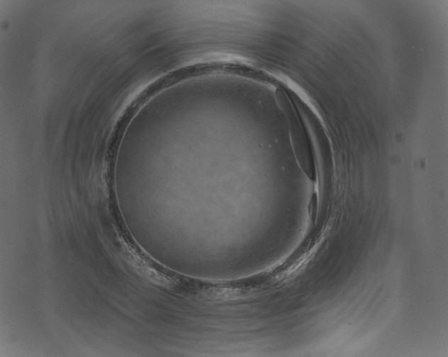 X0000074340783200608251350