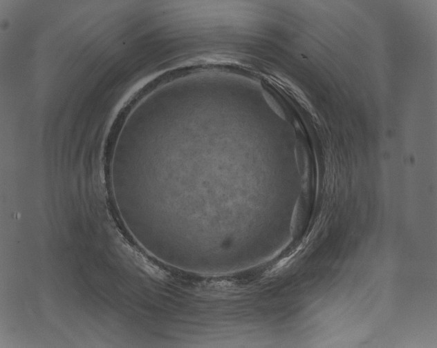 X0000074340784200608251350