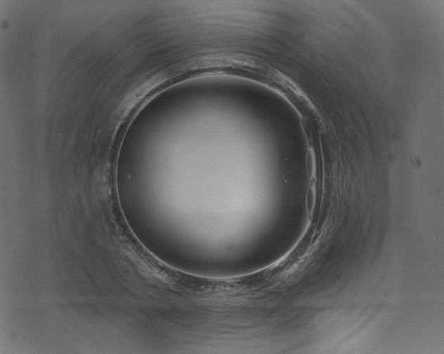 X0000074340786200608251350