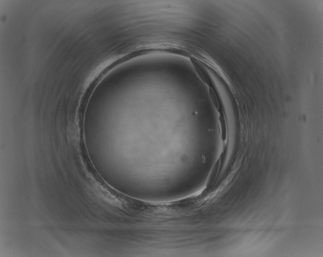 X0000074340787200608251350