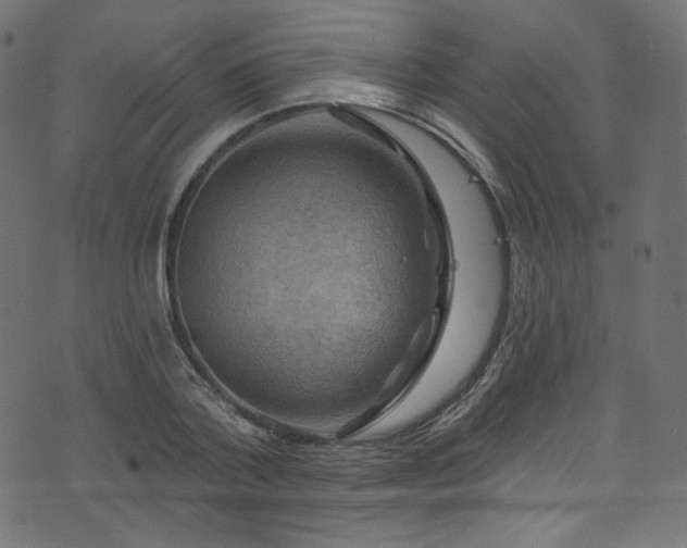 X0000074340788200608251350