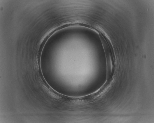 X0000074340789200608251350