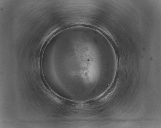 X0000074340790200608251350