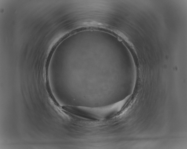 X0000074340791200608251350