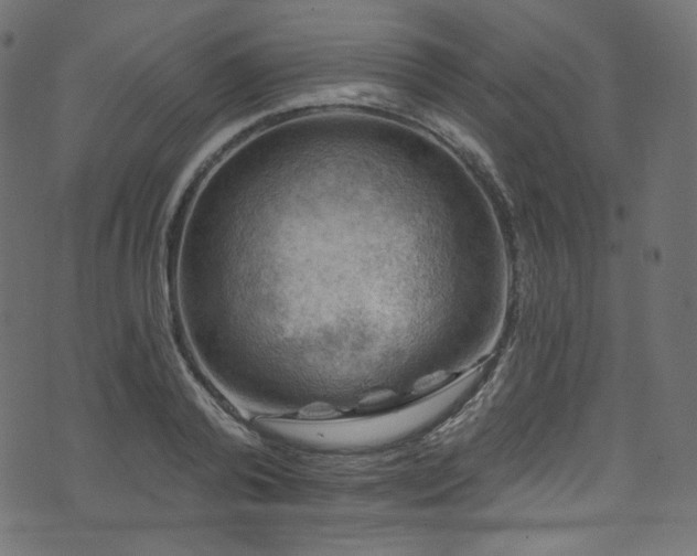 X0000074340792200608251349