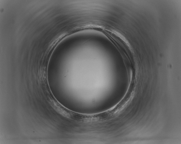 X0000074340793200608251349