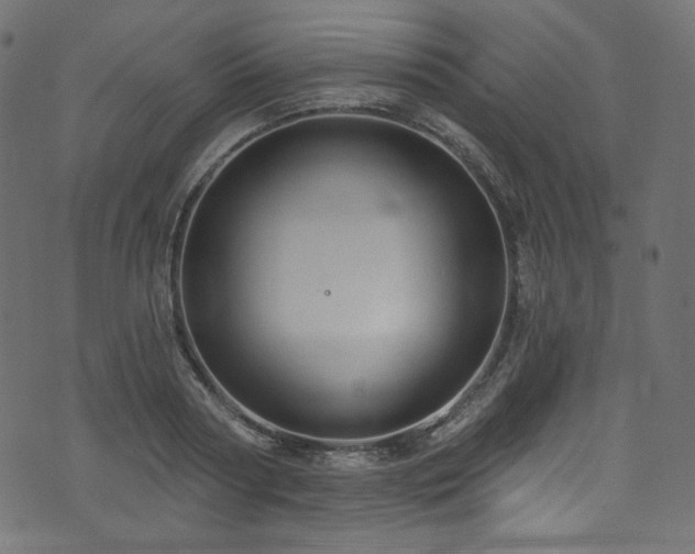 X0000074340794200608251349