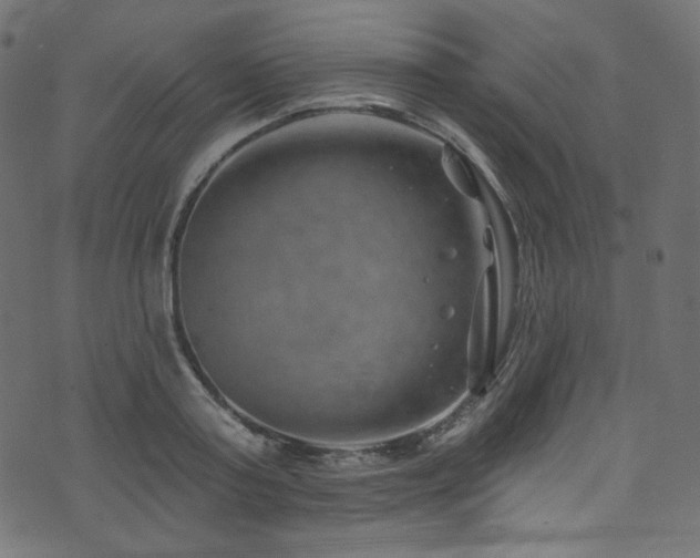 X0000074340795200608251349