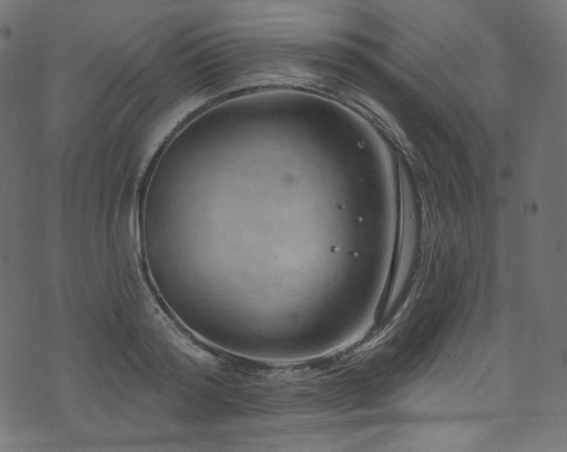 X0000074340796200608251349