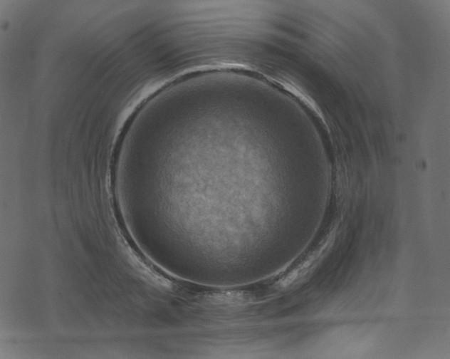 X0000074340797200608251349