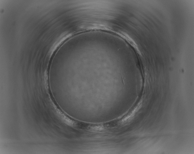 X0000074340798200608251349