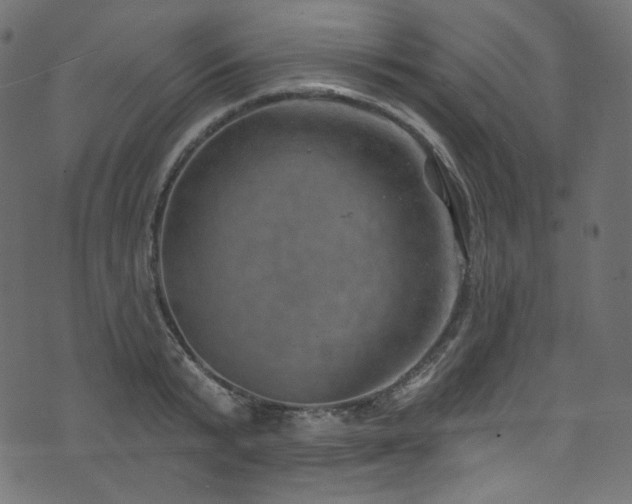 X0000074340799200608251349