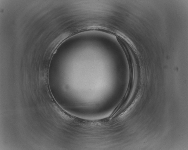 X0000074340801200608251349