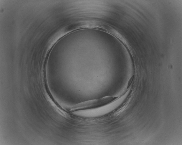 X0000074340803200608251349