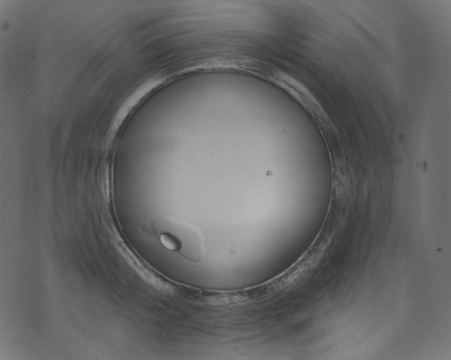 X0000074340804200608251349