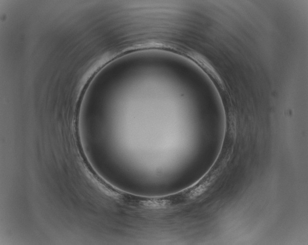 X0000074340805200608251349