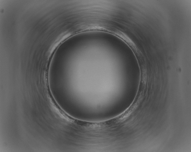 X0000074340806200608251349