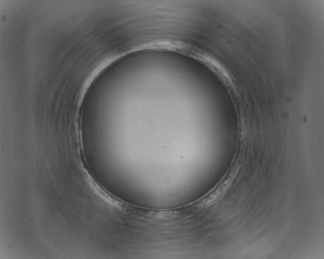 X0000074340808200608251349