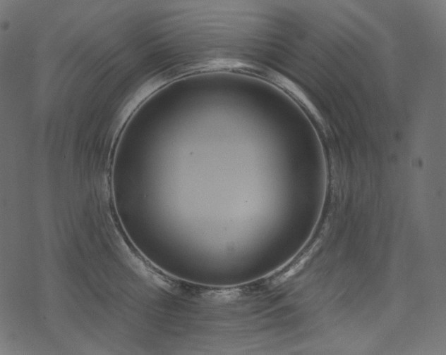 X0000074340810200608251349