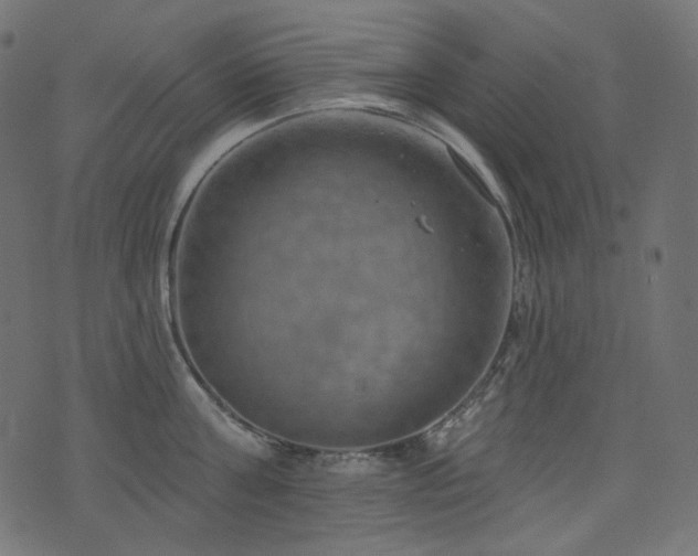 X0000074340811200608251349