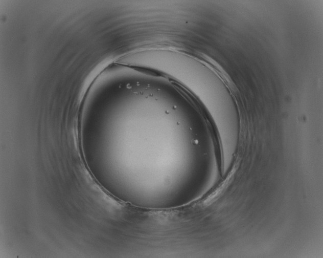 X0000074340812200608251349