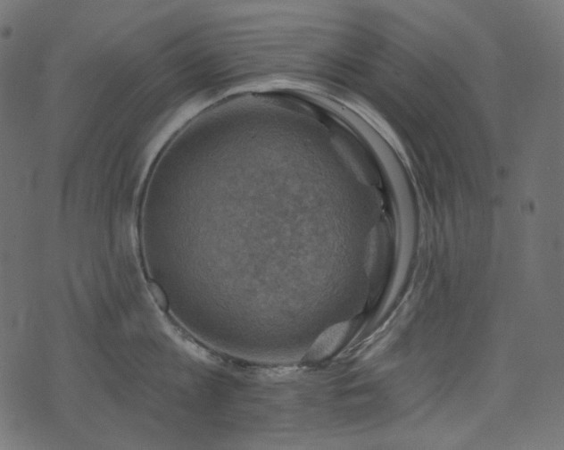 X0000074340813200608251349