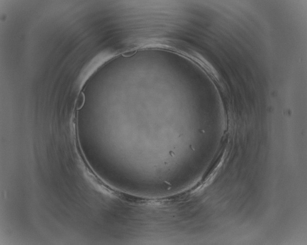 X0000074340814200608251349