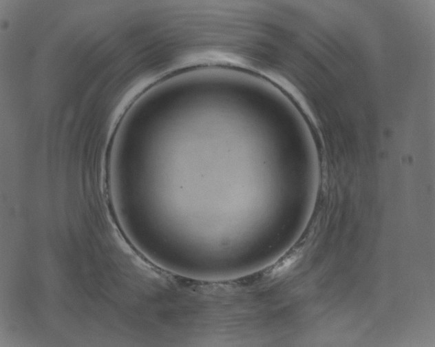 X0000074340815200608251349