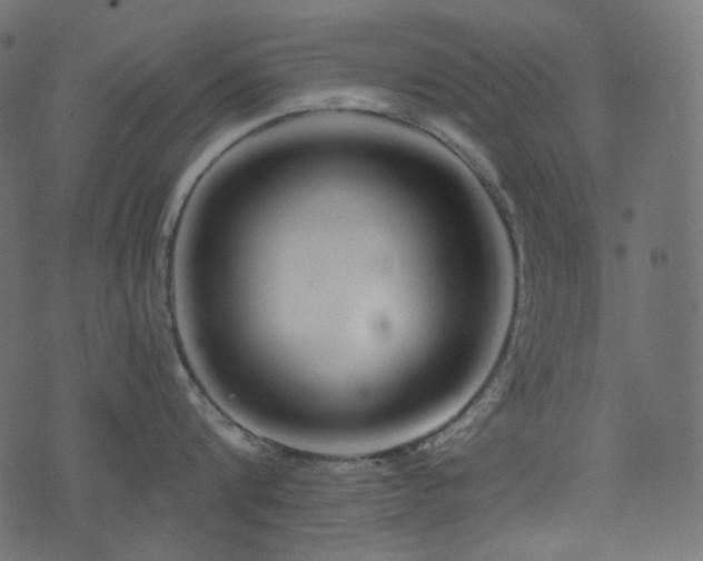 X0000074340816200608251349