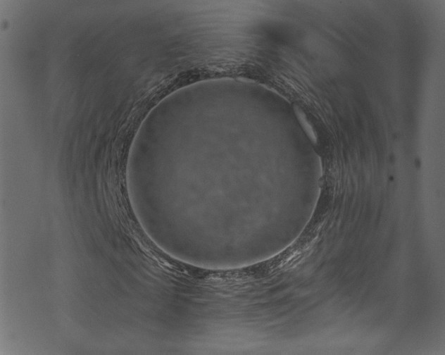 X0000074340817200608251348