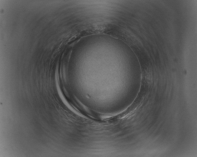 X0000074340818200608251348