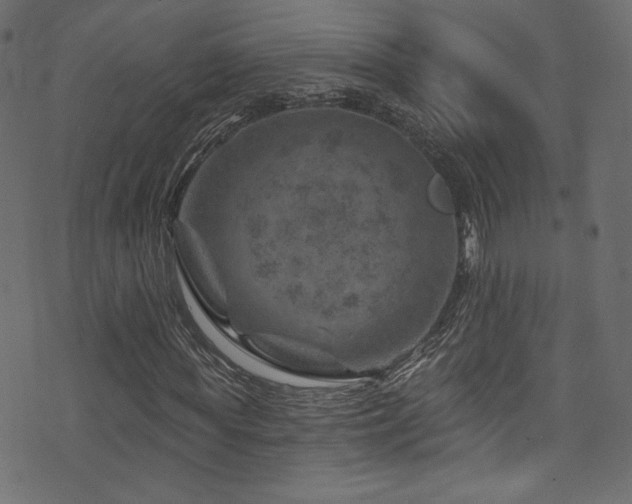 X0000074340819200608251348