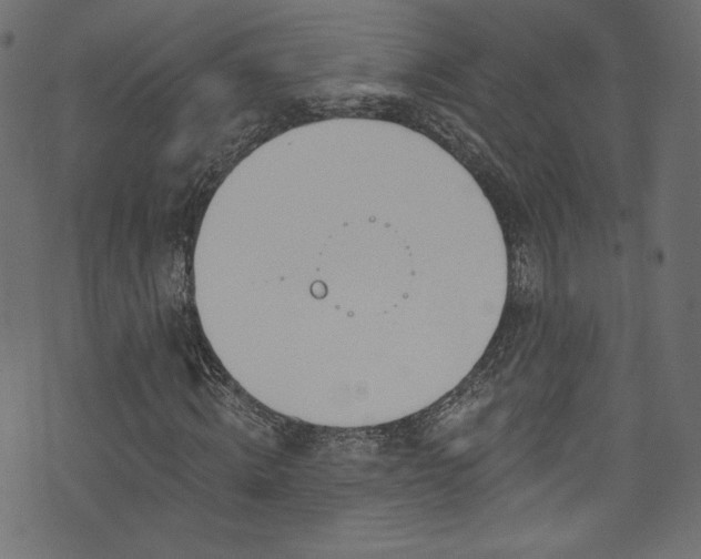 X0000074340820200608251348