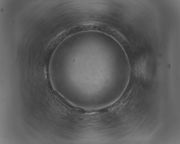 X0000074340821200608251348